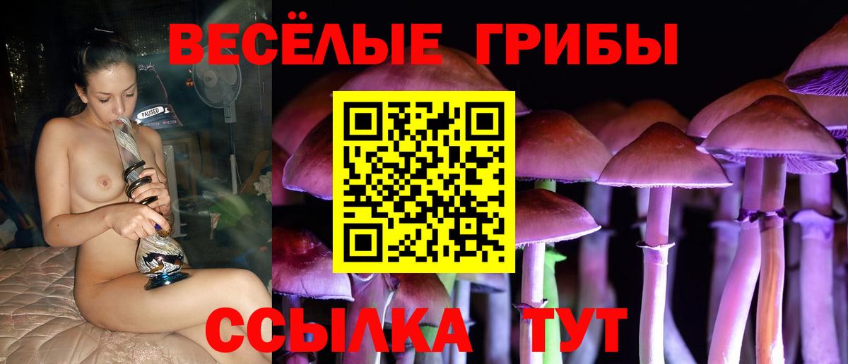 Псилоцибиновые грибы прущие грибы Шахты